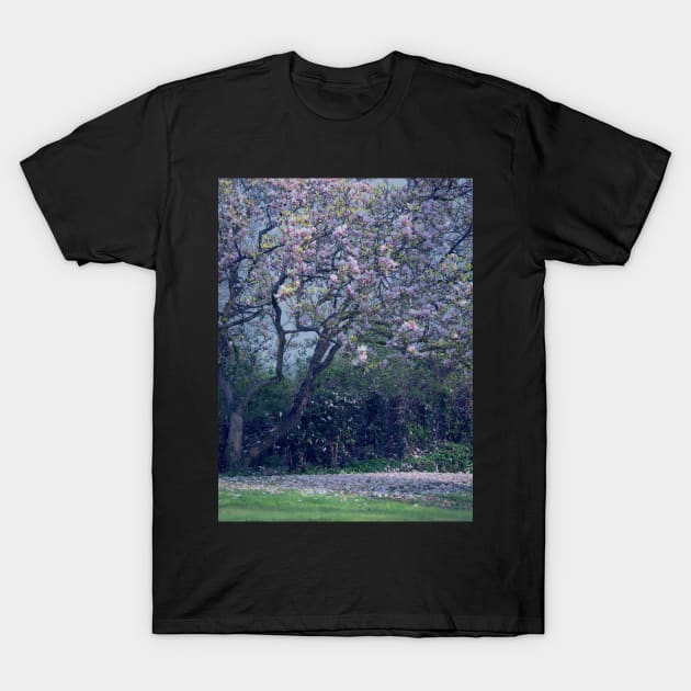 Magnolia T-Shirt by RJDowns